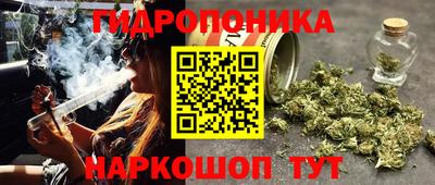 сатива Изобильный