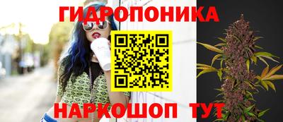сатива Изобильный