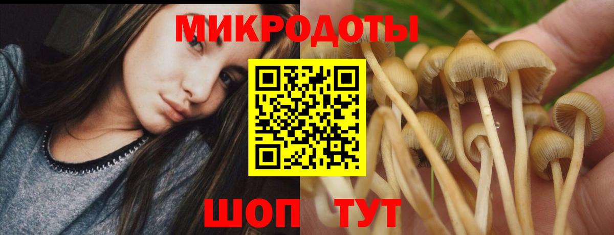 Псилоцибиновые грибы ЛСД  Вход с VPN  Ливны 